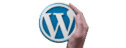 WordPress Logo